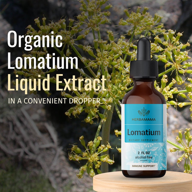 HERBAMAMA Lomatium Liquid Extract - Immune Support, Respiratory & Joint Health Tincture - 2 Fl. Oz