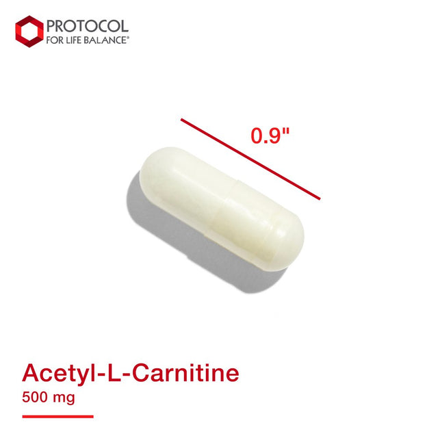 Protocol for Life Balance - Acetyl-L-Carnitine 500 Mg - Helps Transport Fatty Acids, Reduce Unwanted Fat, Boosts Energy, Cognitive Brain Support, Enhances Performance and Recovery - 100 Veg Capsules