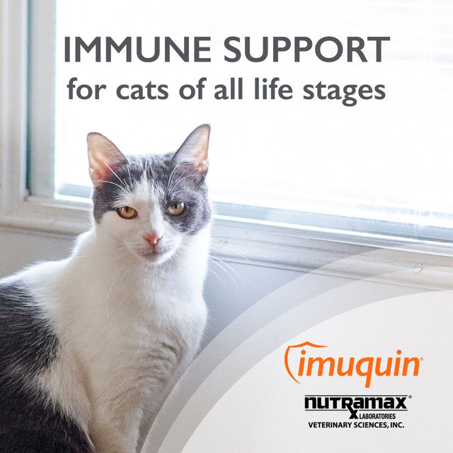 Imuquin Powder Immune Health for Cats 30Ct