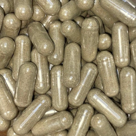 Nootropic Blend Caps | Bacopa | Lions Mane | Rosemary | Oat Straw | Panax Ginseng | Guarana Seed | Club Moss | Huperzine a | B17 Herbs - Bulk Purchase - Vegetarian Caps