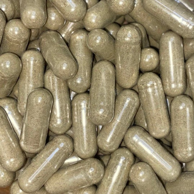 Nootropic Blend Caps | Bacopa | Lions Mane | Rosemary | Oat Straw | Panax Ginseng | Guarana Seed | Club Moss | Huperzine a | B17 Herbs - Bulk Purchase - Vegetarian Caps