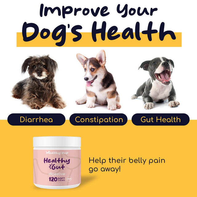 Healthy Pup Premium Dog Probiotics and Digestive Enzymes Dog Supplements, 120 Delicious Chew Treats