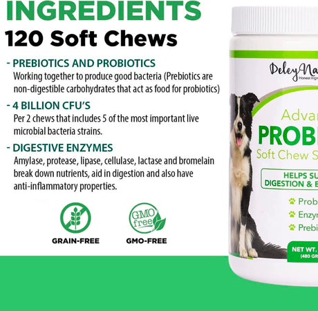 Deley Naturals Probiotics for Dogs, Digestive Enzymes for Dogs, Itch Relief, Dog Probiotic & Prebiotics, Gut Health, 120 Count Soft Chews