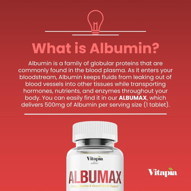 Albumax - 1300Mg per Serving - Albumin, Protein, L-Arginine and Vitamins - Overall Health Support* - 120 Tablets - 120 Day Supply - Non GMO & Gluten Free