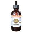 Goldenseal (Hydrastis Canadensis) Tincture, Organic Dried Roots Liquid Extract, Orangeroot, Herbal Supplement 4 Oz