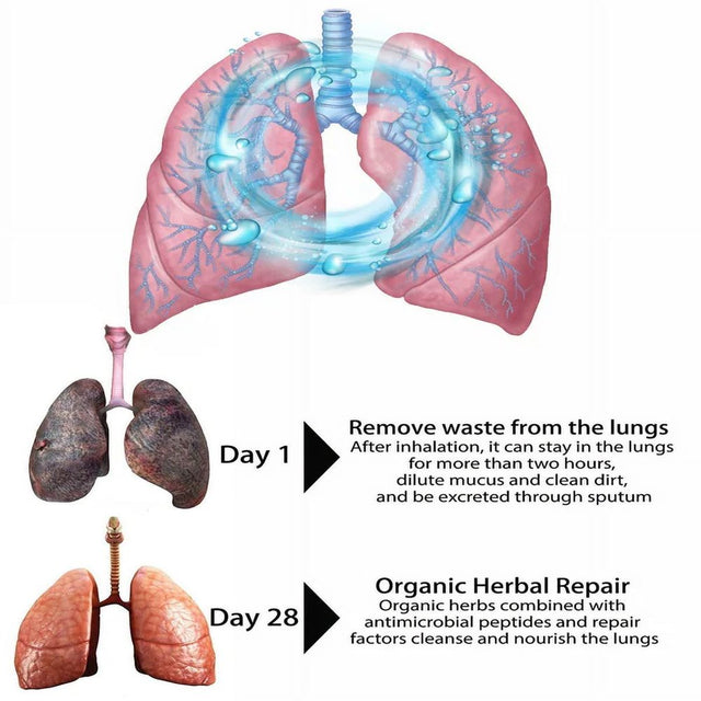 Organic Herbal Lung Cleanse & Repair Nasal Spray 30Ml