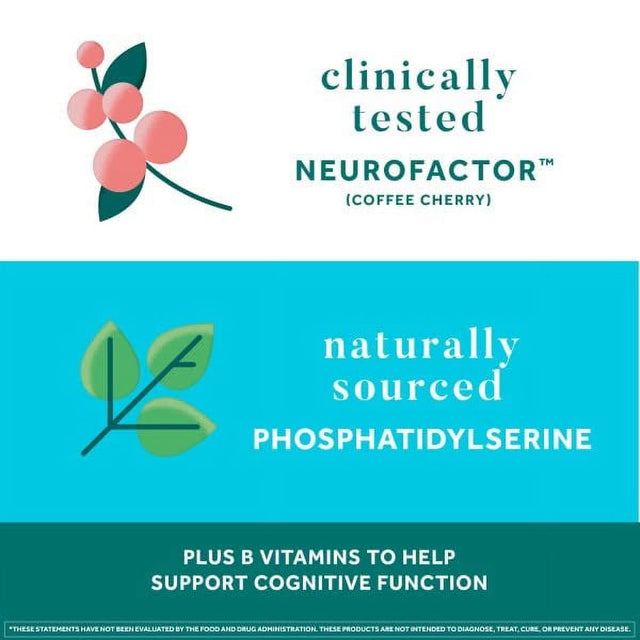 Neuriva Nootropic Brain Support Supplement - plus Strawberry Gummies Phosphatidylserine, B6, B12, Supports Focus Memory Concentration Learning Accuracy and Reasoning 50Ct (Pack of 3)