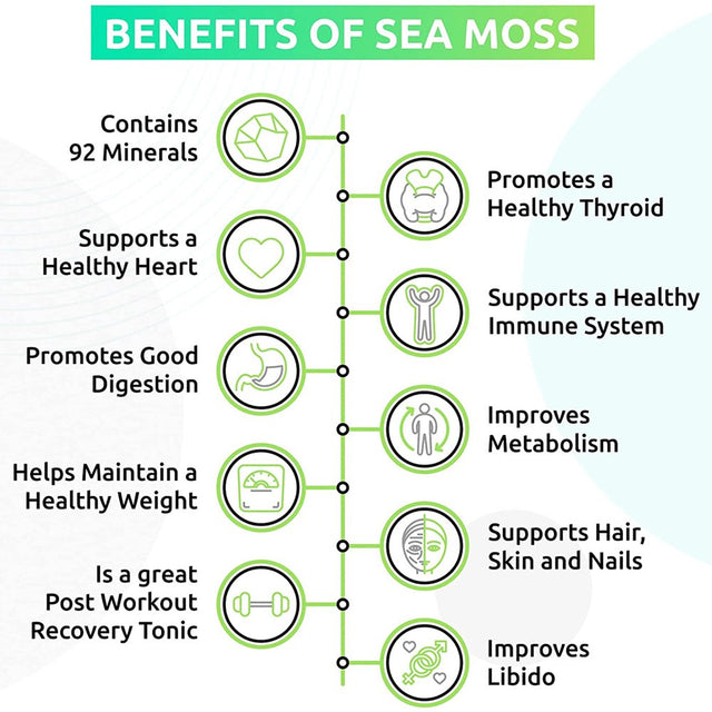 Trueseamoss Wildcrafted Irish Sea Moss Gel – Nutritious Raw Seamoss Rich in Minerals, Proteins & Vitamins – Antioxidant Health Supplement, Vegan-Friendly Made in USA (Mango/Pineapple, 3)