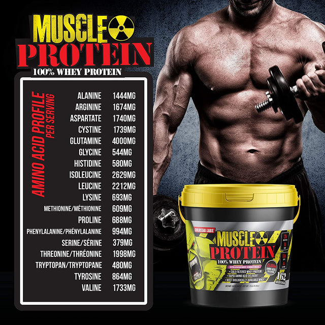 Muscle Protein Whey Powder [12 Lbs/Pack of 1]-Strawberry Protein Powder, Cold Filtered, 25G Pure Protein, 6.6G Bcaas(Packaging May Vary)