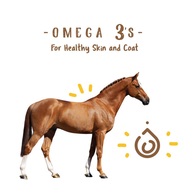 Manna Pro Simply Flax for Horses | Omega-3 Fatty Acids | 8 Pounds