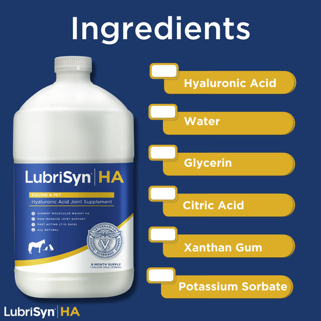 Lubrisynha Hyaluronic Acid Pet & Equine Joint Formula 128Oz - All-Natural, High-Molecular Weight Liquid Hyaluronan - Joint Support for Horses, Dogs, Cats - Promotes Healthy Joint Function, Made in USA