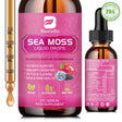 Beworths 3000Mg Irish Sea Moss Liquid Drops,With Bladderwrack and Burdock Root,For Immunity Booster, Joint & Thyroid - 2.03Oz