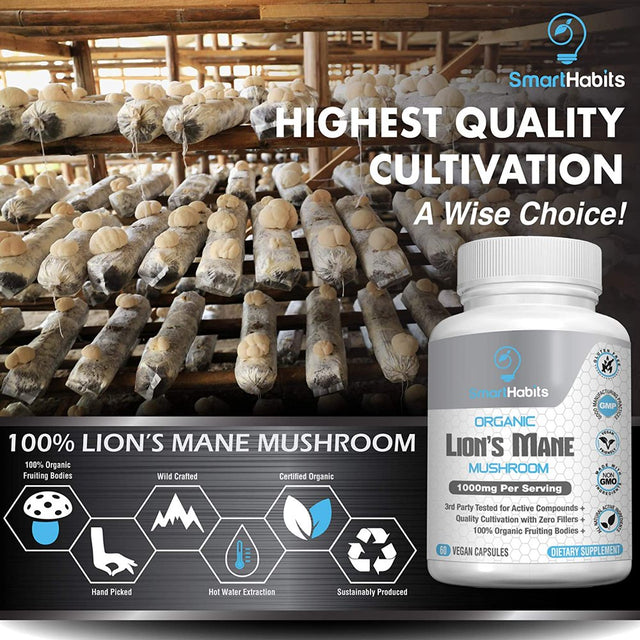 Certified Organic Lion'S Mane Mushroom Capsules - Nootropic Superfood Extract Promote Brain Function, Nervous System Health, and Immunity Hand Picked Mushrooms, Third-Party Verified for Purity