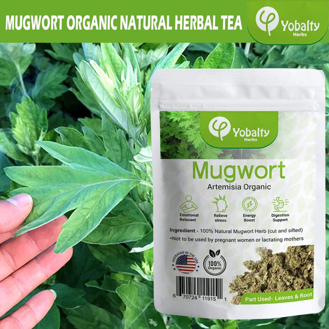 Mugwort Organic, 1 Oz, Lucid Dream Tea, Artemisia Vulgaris, Mugwort Dried Herbs, Herbal Leaves Tea, Mugwort Herb Loose Leaf, Improves Digestion, Helps to Sleep.