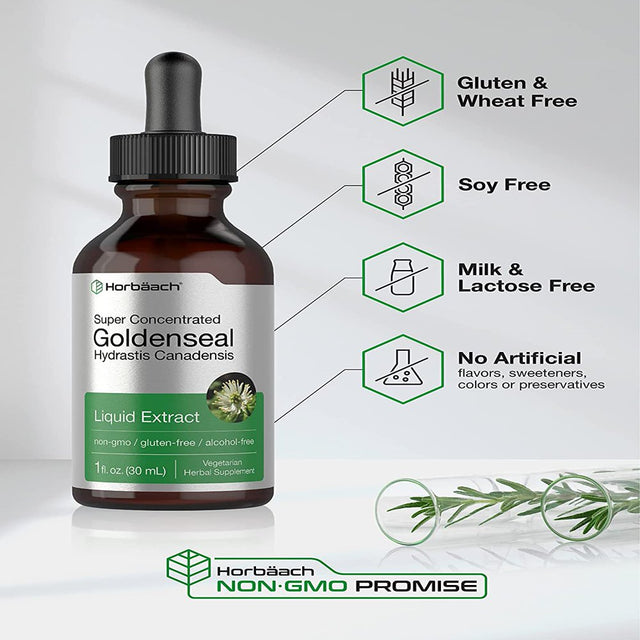 Goldenseal Root Liquid Extract | 1 Oz | Vegetarian & Alcohol Free | by Horbaach