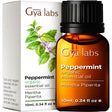 Gya Labs Organic Peppermint Oil for Hair - Mint Essential Oils - Premium Grade Natural Organic Peppermint Essential Oil for Diffuser & Skin (0.34 Fl Oz)