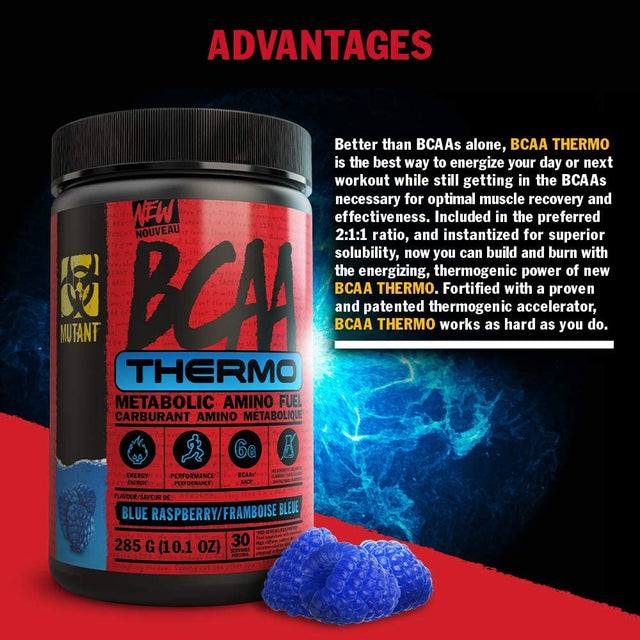 Mutant BCAA Thermo – Supplement BCAA Powder with Micronized Amino Acid and Energy Support - 285 G - Candy Crush