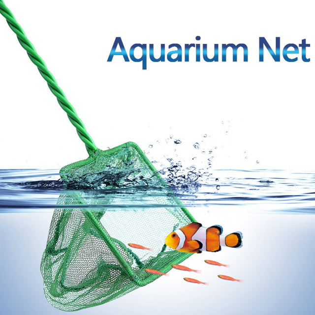 Black and Friday Deals Blueek 12Inch Aquarium Net Fish Tank Net Fine Mesh Fish Catch Net with Plastic Handle