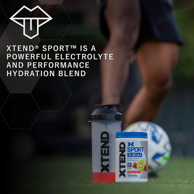 XTEND Sport BCAA Powder Strawberry Kiwi Splash - Electrolyte Powder for Recovery & Hydration with Amino Acids - 30 Servings