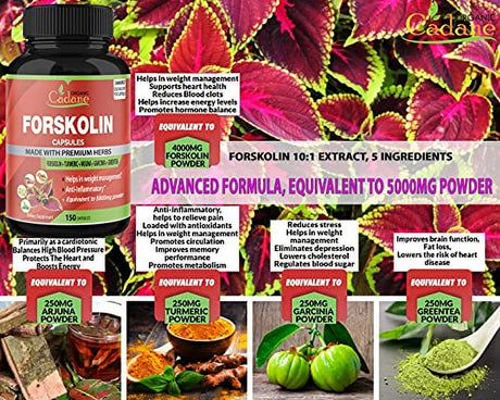 Forskolin Extract Capsules 5000Mg, 5 Month Supply & Turmeric Curcumin, Arjuna, Garcinia Cambogia, Green Tea|Maximum Strength India Supplements|Support Nourishing Diet Coleus Forskohlii, Energy Booster