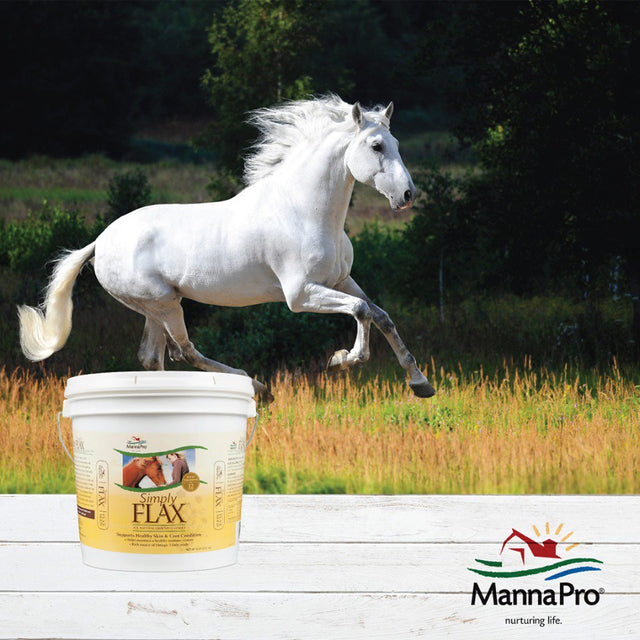 Manna Pro Simply Flax for Horses | Omega-3 Fatty Acids | 8 Pounds