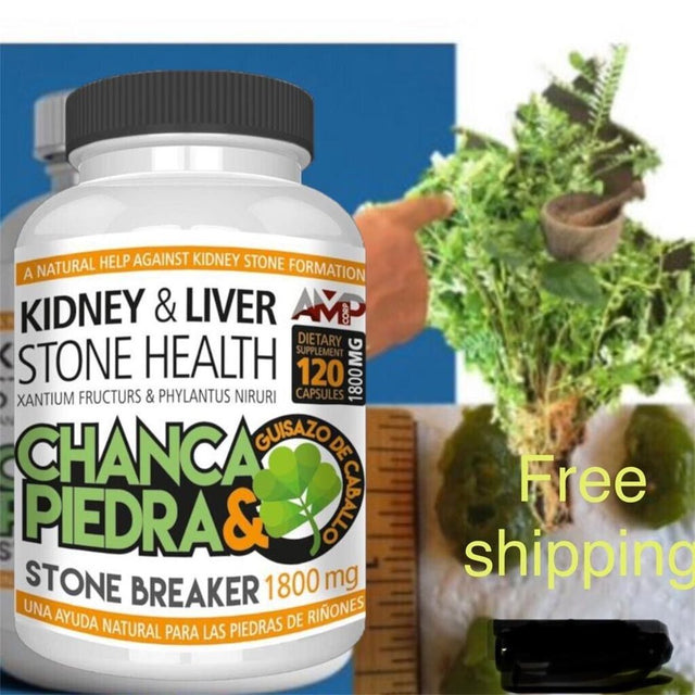 CHANCA PIEDRA Stone Breaker Kidney & Liver Stone Health 1800 Mg 120 Capsules