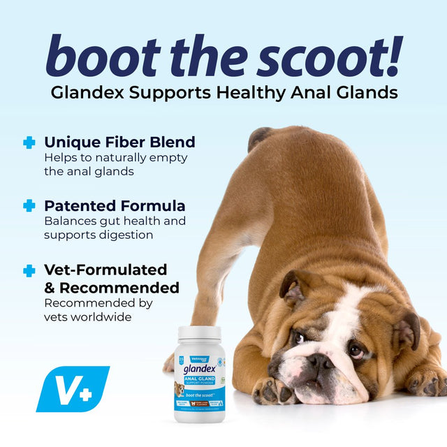 Glandex Dog Digestive & Fiber Supplement for Anal Glands with Pumpkin, Digestive Enzymes & Probiotics - Boot the Scoot 4.0 Oz Pork Liver by Vetnique