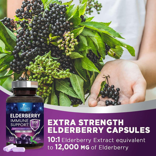 Nature'S Nutrition 10:1 Elderberry Extract Capsules - Highly Concentrated Sambucus Black Elderberry, Immune Support Dietary Supplement, Elder Berry Vitamins, Gluten Free Non-Gmo - 120 Capsules