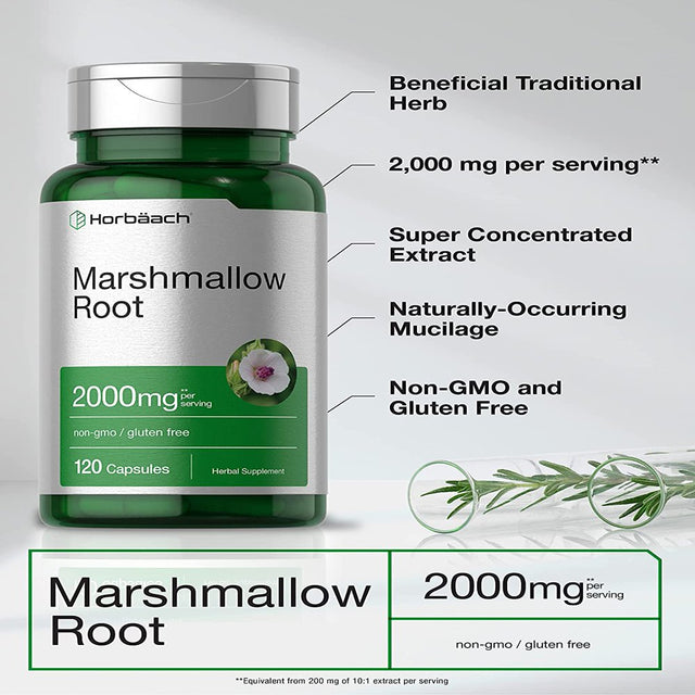 Marshmallow Root Capsules | 2000Mg | 120 Count | Non-Gmo & Gluten Free | Traditional Herb Extract | by Horbaach