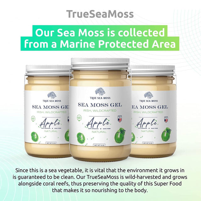 Trueseamoss Wildcrafted Irish Sea Moss Gel – Nutritious Raw Seamoss Rich in Minerals, Proteins & Vitamins – Antioxidant Health Supplement, Vegan-Friendly Made in USA (Apple, 4)