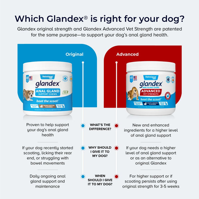 Glandex for Dogs Advanced Strength Anal Gland Soft Chews Supplement for Digestion with Fiber & Probiotics 60Ct Vegan Duck/Bacon