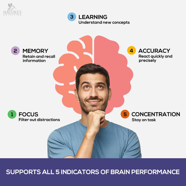 Nootropic Brain Supplement for Memory, Focus & Concentration | Cognitive Support Brain Booster Supplement with Phosphatidylserine & DMAE Bacopa | Brain Vitamins for Men & Women, Non-Gmo - 120 Capsules