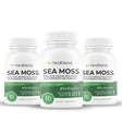 Healblend Organic Irish Moss, Bladderwrack, Burdock, & Bioperine - 1405Mg with Black Pepper - Natural Wellness and Detox Support Supplement - 3-Pack