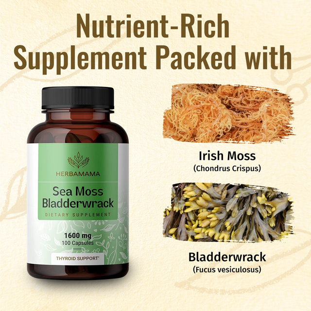 HERBAMAMA Sea Moss & Bladderwrack Capsules - Thyroid Support, Immune & Gut Health 250 Caps