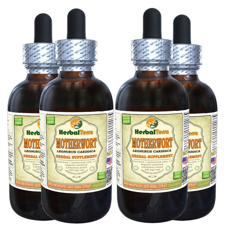 Motherwort (Leonurus Cardiaca) Tincture, Organic Dried Herb Liquid Extract (Herbal Terra, USA) 4X4 Oz