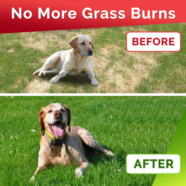 GOODGROWLIES Grass Treats for Dogs - Dog Pee Lawn Repair - Grass Burn Spots Caused by Dog Urine - Grass Rocks with Probiotics + Digestive Enzymes, Cranberry - Made in USA - 120 Soft Chews