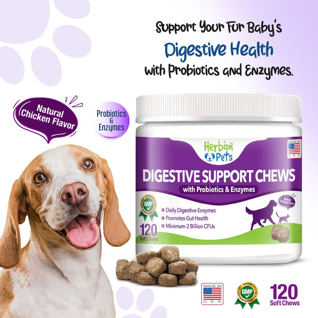 Herbion Pets Digestive Support Chews with Probiotics and Enzymes, 120 Soft Chews - with Daily Digestive Enzymes - for Improved Gut Health - Minimum 2 Billion Cfus - Made in USA - for Dogs 12 Weeks+