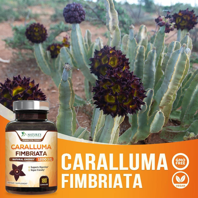 Pure Caralluma Fimbriata Extract Highly Concentrated 1200Mg - Natural Endurance Support, Best Vegan Supplement for Men & Women, Non-Gmo - 180 Capsules