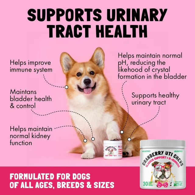 Cranberry UTI Chews for Dogs Bladder Suppot + D-Mannose Supports Kidney Urinary Tract and Bladder Health Natural Cranberry Wellness Supplement Immune System Booster Natural Pet Antioxidant 30 Chews