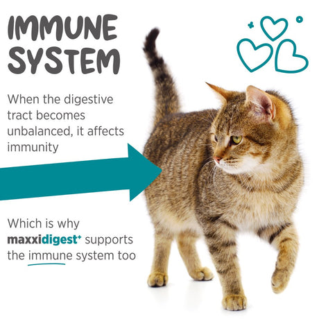 Maxxidigest+ Digestive and Immune Supplement for Cats by Maxxipaws - Powder 7 Oz