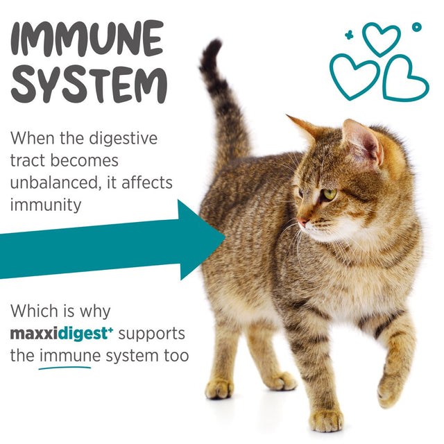 Maxxidigest+ Digestive and Immune Supplement for Cats from Maxxipaws - Powder 3.2 Oz