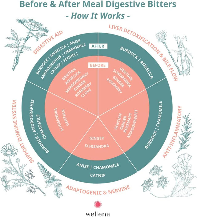 Wellena Digestive Bitters Kit, before and after Meal Liquid Herbal Supplement, Healthy Digestion and Hormone Support, Helps Digestion