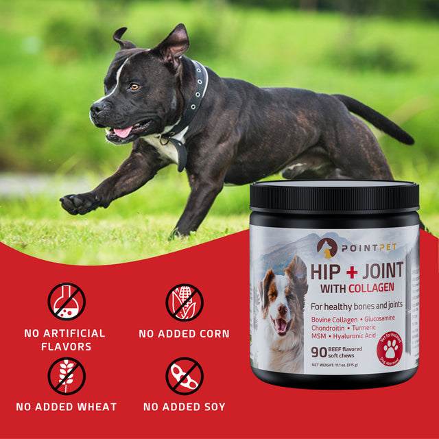 Pointpet Dog Hip & Joint Support with Bovine Collagen, Vet Formulated Mobility Soft Chews, 90 Beef Flavored Soft Chews