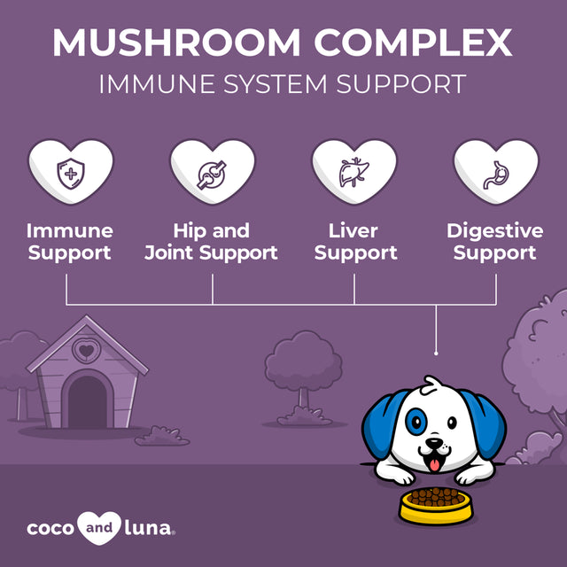 Coco and Luna Mushroom Complex Immune Support for Dogs 120 Chewable Tablets