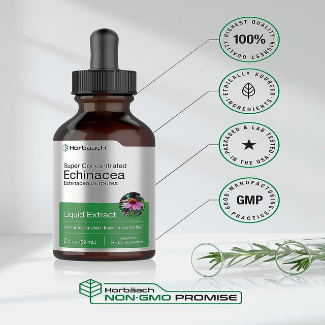 Echinacea Liquid Extract | 2 Oz | Vegetarian & Alcohol Free | by Horbaach