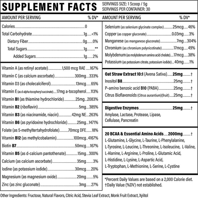 Multivitamin Powder - Drink Mix for Men Women BCAA Amino Acids Won’T Upset Your Stomach - Keto Vegan Multivitamin Fruit Punch - Electrolytes Super B Complex Digestive Enzyme