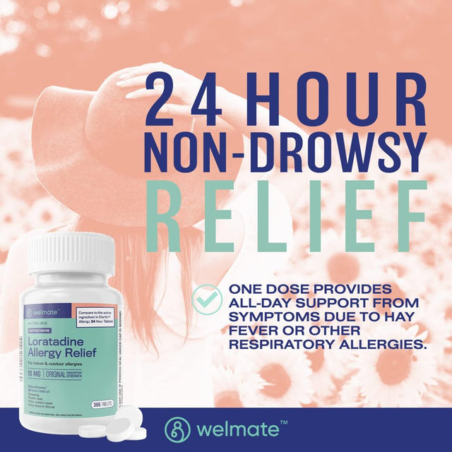 WELMATE Antihistamine Allergy Relief - Loratadine 10Mg - 24 Hour Relief - 365 Count Tablets