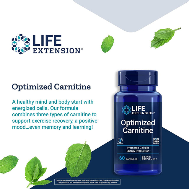 Life Extension Optimized Carnitine – L-Carnitine Supplement - Supports Heart, Brain Health& Exercise Recovery – Gluten-Free – Non-Gmo – 60 Capsules