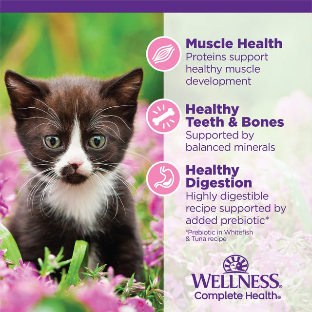 Wellness Complete Health Kitten Wet Cat Food Whitefish & Tuna Entrée, 3Oz Can, Pack of 24