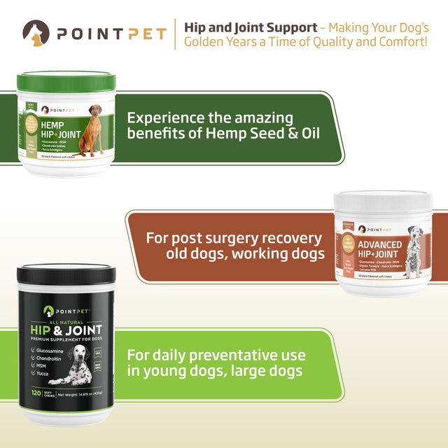 POINTPET Hip and Joint Supplement with Glucosamine & MSM for Dogs, 120 Soft Chews